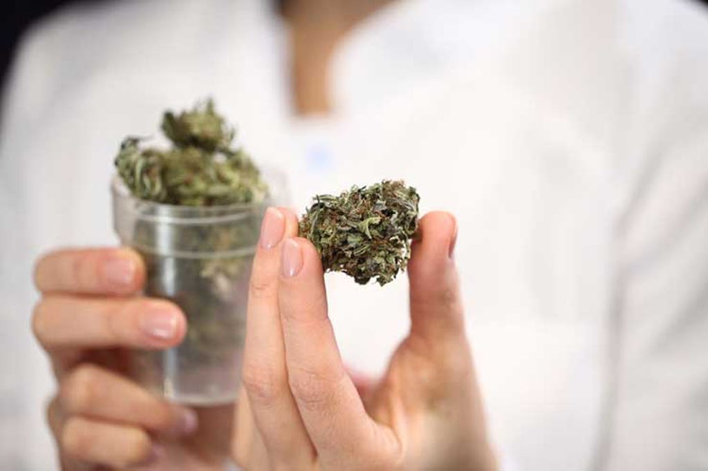 weed delivery toronto